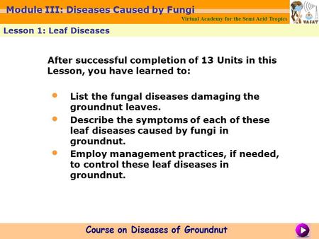 After successful completion of 13 Units in this Lesson, you have learned to: List the fungal diseases damaging the groundnut leaves. Describe the symptoms.