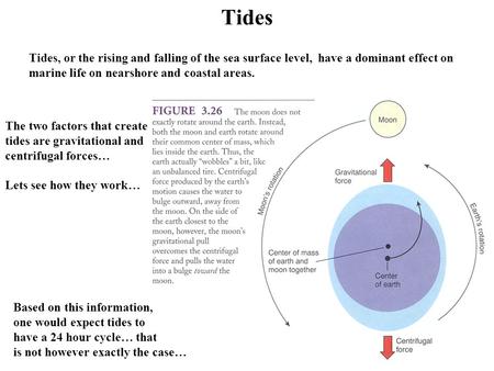 Tides Tides, or the rising and falling of the sea surface level, have a dominant effect on marine life on nearshore and coastal areas. The two factors.