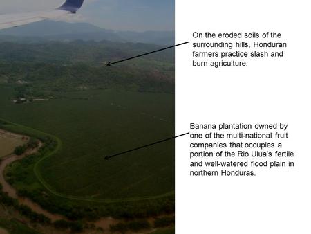 Banana plantation owned by one of the multi-national fruit companies that occupies a portion of the Rio Ulua’s fertile and well-watered flood plain in.