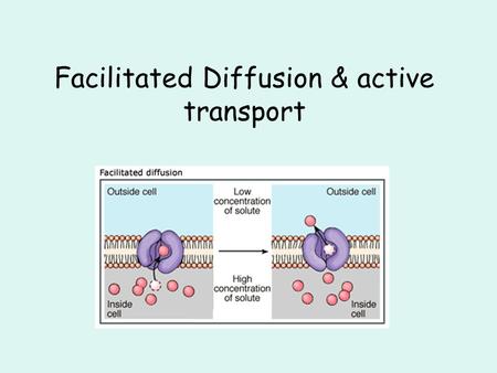 Facilitated Diffusion & active transport. Facilitated Diffusion Integral proteins help molecules through membrane.Integral proteins help molecules through.