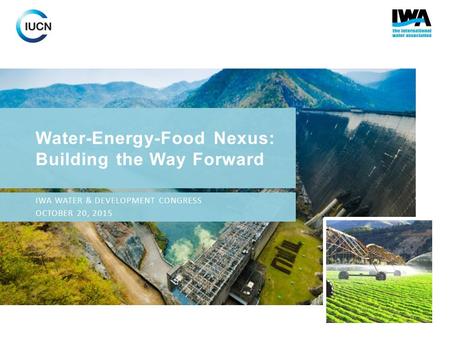 Water-Energy-Food Nexus: Building the Way Forward