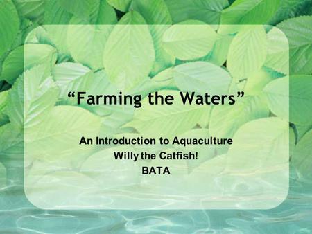 “Farming the Waters” An Introduction to Aquaculture Willy the Catfish! BATA.