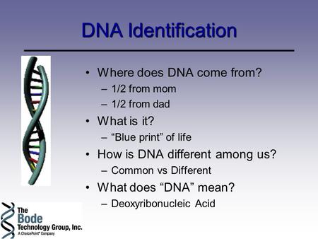 DNA Identification Where does DNA come from? What is it?