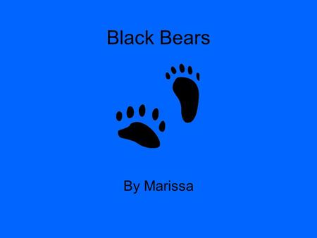 Black Bears By Marissa. Table of contents 1 Babies 2 Food 3 Habitat 4 Enemies 5 Description 6 Communication 7 Interesting facts 8 Would this animal make.