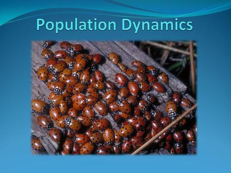 Population Dynamics Population dynamics - the study of the long term changes in population sizes and the factors that cause a change Current focus is.