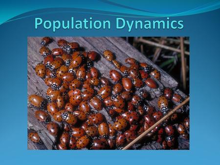 Population Dynamics Population dynamics is the study of the long term changes in population sizes and the factors that cause a change. The current focus.