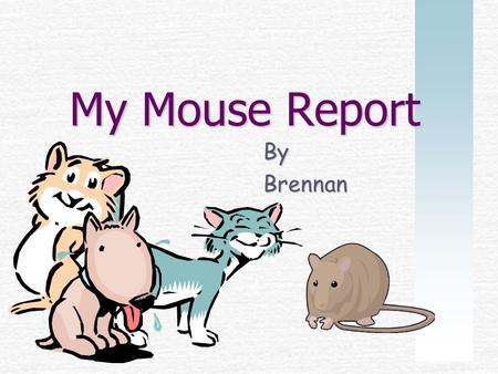 My Mouse Report ByBrennan. The mouse usually eats anything that it thinks that it can eat.The mouse lives in fields or forests. The mice are furry, gentle,