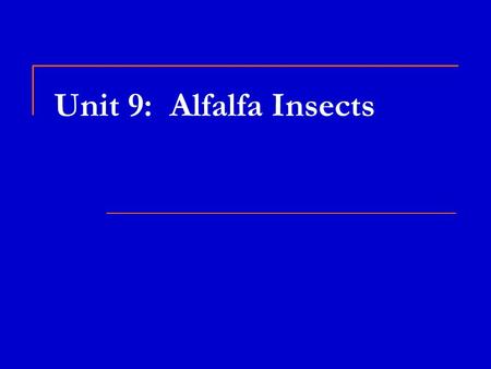 Unit 9: Alfalfa Insects. Alfalfa Weevil  Found throughout the U.S.  Damage done by larvae feeding on plant tips, new leaves, flowers  Can strip the.