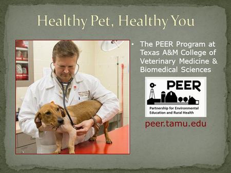 Healthy Pet, Healthy You