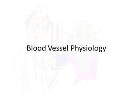 Blood Vessel Physiology