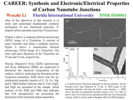 CAREER: Synthesis and Electronic/Electrical Properties of Carbon Nanotube Junctions Wenzhi LiFlorida International UniversityDMR 0548061 One of the objectives.