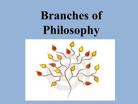 Branches of Philosophy