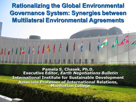 Rationalizing the Global Environmental Governance System: Synergies between Multilateral Environmental Agreements Pamela S. Chasek, Ph.D. Executive Editor,