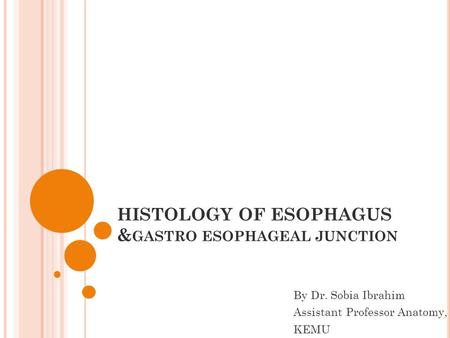 HISTOLOGY OF ESOPHAGUS &gastro esophageal junction