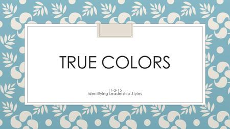 TRUE COLORS 11-2-15 Identifying Leadership Styles.