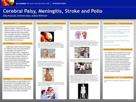 Www.buffalo.edu Abstract During this study, we researched four different disorders. We looked at all of the different symptoms, causes, etc. The topics.