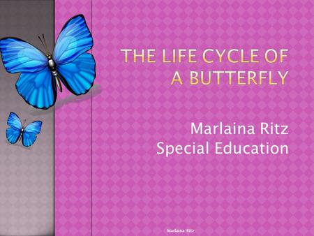 Marlaina Ritz Special Education Marlaina Ritz.  The Living environment  2.4  Students ask questions about a variety of living things and everyday events.