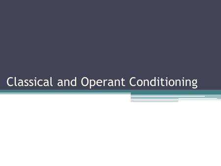 Classical and Operant Conditioning. Classical Conditioning A type of learning in which an organisms comes to associate stimuli A neutral stimulus that.