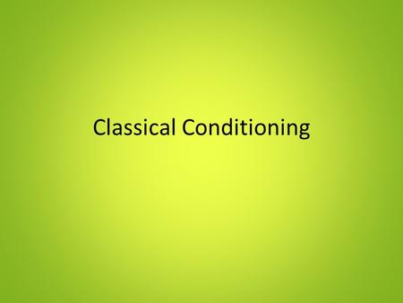 Classical Conditioning. Ivan Pavlov’s Experiment Originally interested in physiology – Studying effect saliva had on digestion Noticed dogs began to salivate.