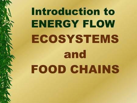 Introduction to ENERGY FLOW