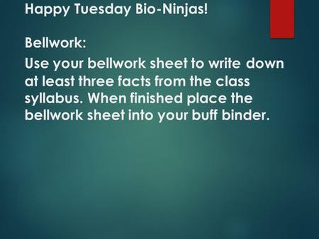 Happy Tuesday Bio-Ninjas! Bellwork: Use your bellwork sheet to write down at least three facts from the class syllabus. When finished place the bellwork.