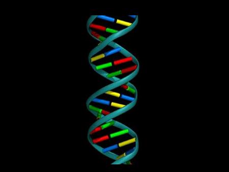 The process of joining together monomers is known as POLYMERIZATION