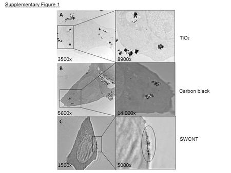 A B C 3500x8900x 5600x14 000x 1500x5000x Supplementary Figure 1 TiO 2 Carbon black SWCNT.