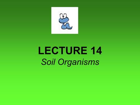 LECTURE 14 Soil Organisms. Diversity… Size of organisms. Types of diversity Species diversity Functional diversity Ecosystem dynamics Functional redundancy.