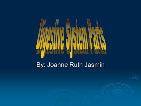 By: Joanne Ruth Jasmin. The Mouth The mouth is the begging of the digestive system. The digestion starts before you take a bite of your meal. The smell.