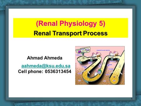 (Renal Physiology 5) Renal Transport Process Ahmad Ahmeda Cell phone: 0536313454 1.