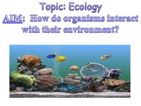 is the scientific study of the interactions between organisms and their environment.