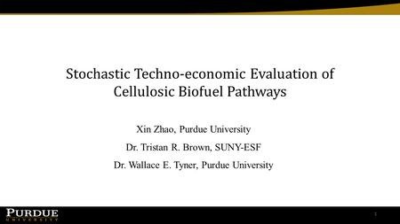 Stochastic Techno-economic Evaluation of Cellulosic Biofuel Pathways