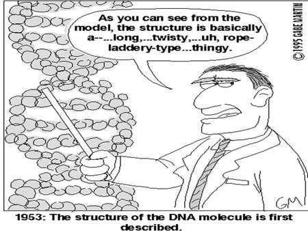 DNA Griffith’s Experiment Fredrick Griffith 1928 British scientist Wanted to see why people got sick from bacteria (pneumonia) Used mice and a strain.