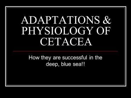 ADAPTATIONS & PHYSIOLOGY OF CETACEA How they are successful in the deep, blue sea!!