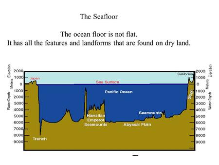 The Seafloor The ocean floor is not flat. It has all the features and landforms that are found on dry land.