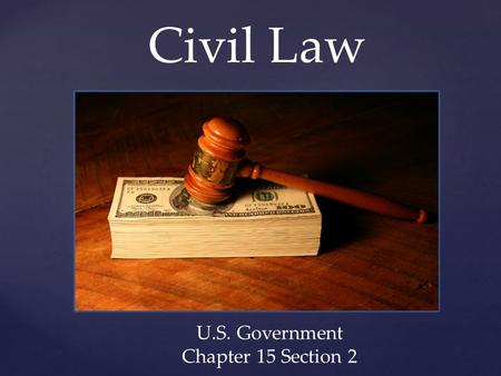 Civil Law U.S. Government Chapter 15 Section 2.  Why would someone bring a lawsuit against another person, a business, or an organization? List 2-3 reasons.