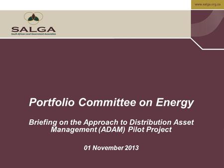 Www.salga.org.za Portfolio Committee on Energy Briefing on the Approach to Distribution Asset Management (ADAM) Pilot Project 01 November 2013.