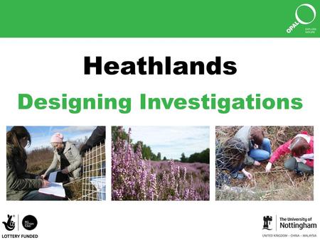 Heathlands Designing Investigations © Amy Rogers.