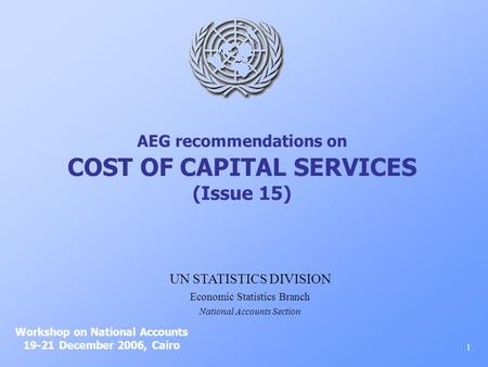 AEG recommendations on COST OF CAPITAL SERVICES (Issue 15) Workshop on National Accounts 19-21 December 2006, Cairo 1 UN STATISTICS DIVISION Economic Statistics.