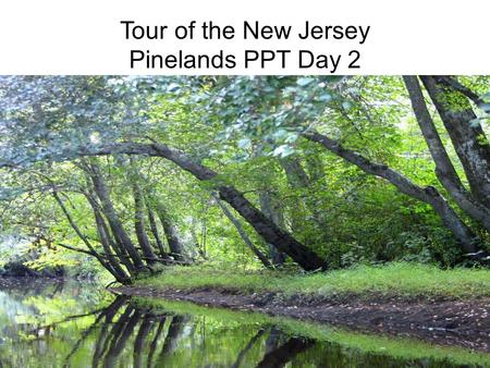 Tour of the New Jersey Pinelands PPT Day 2. Answer question 1: Based on what you know about succession in New Jersey at which stage would you expect to.