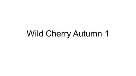 Wild Cherry Autumn 1. Year 5: Were the Anglo-Saxons really smashing? KS2 History: Britain’s settlements by Anglo-Saxons and Scots - Anglo-Saxon invasions;