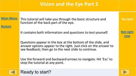 Vision and the Eye Part 2 Main Menu Restart Ready to start? This tutorial will take you through the basic structure and function of the back part of the.