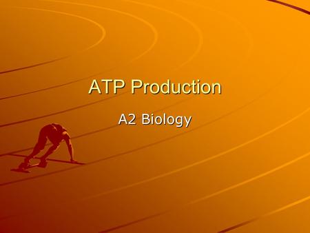 ATP Production A2 Biology. Starter Complete the definition loop from AS Level biology When completed it will form a loop Example: respiration Release.