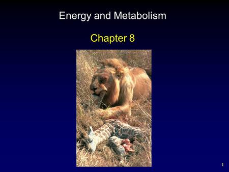 1 Energy and Metabolism Chapter 8. 2 Outline Flow of Energy in Living Things Laws of Thermodynamics Free Energy Activation Energy Enzymes – Forms – Activity.