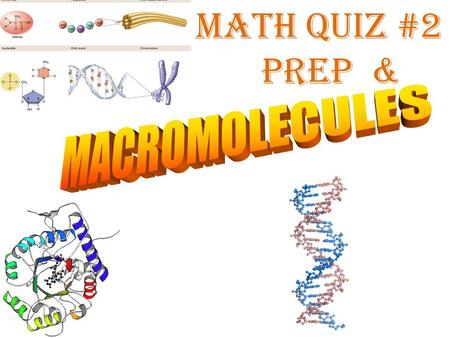 MATH QUIZ #2 prep & MACROMOLECULES.