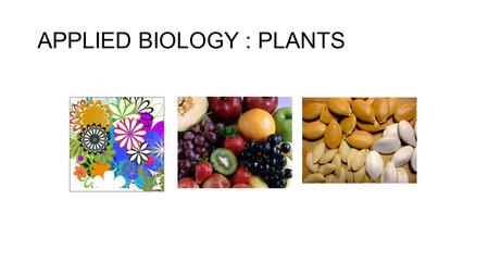 APPLIED BIOLOGY : PLANTS. COURSE OBJECTIVE Ability to illustrate and explain the cell and biological diversity Ability to differentiate microbe, plant.