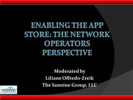 Moderated by Liliane Offredo-Zreik The Sannine Group, LLC.