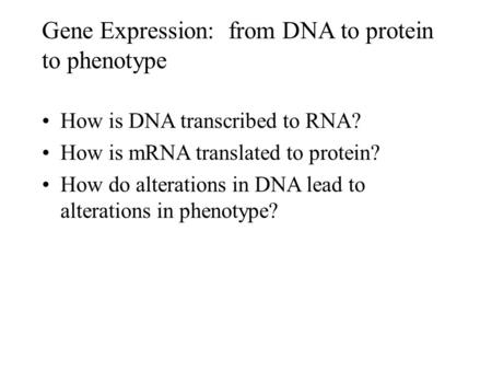 Gene Expression: from DNA to protein to phenotype How is DNA transcribed to RNA? How is mRNA translated to protein? How do alterations in DNA lead to alterations.