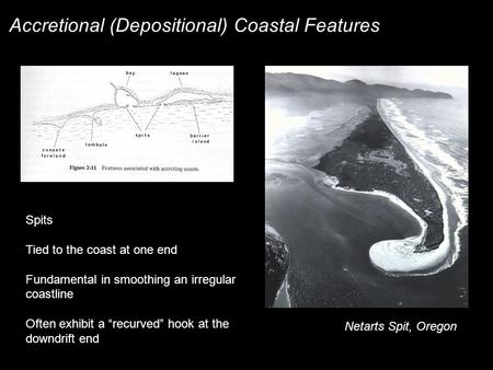 Accretional (Depositional) Coastal Features