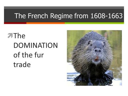 The French Regime from 1608-1663  The DOMINATION of the fur trade.